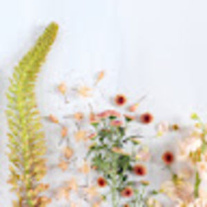 Meet your Posher, Madelyn